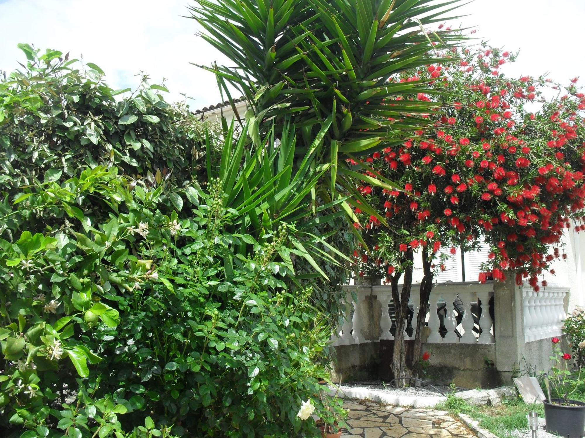 Veronique Bed & Breakfast Appietto Exterior foto